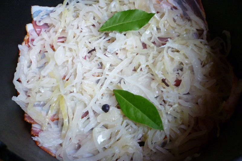 erste Lage Sauerkraut